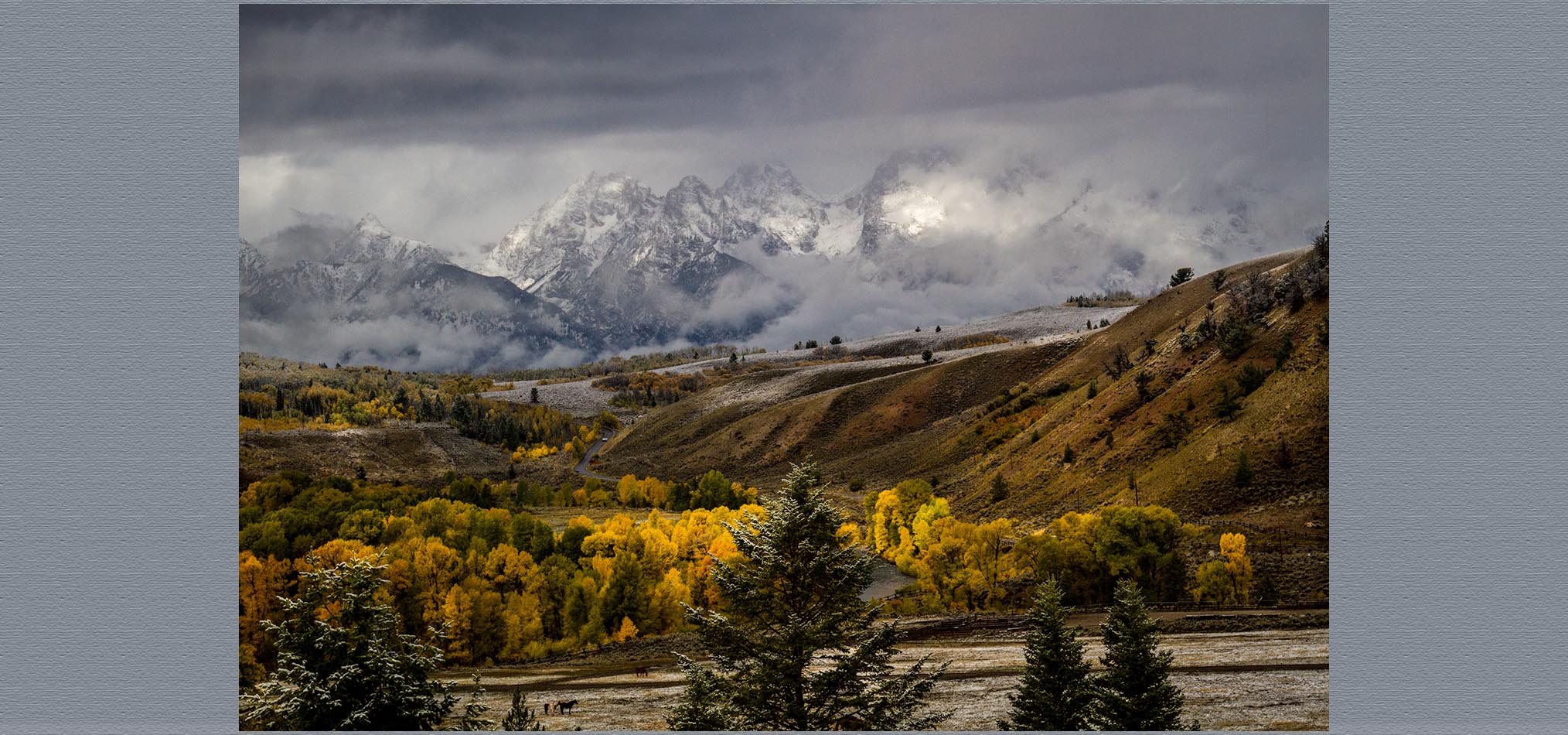 13-10 Jackson -296.jpg