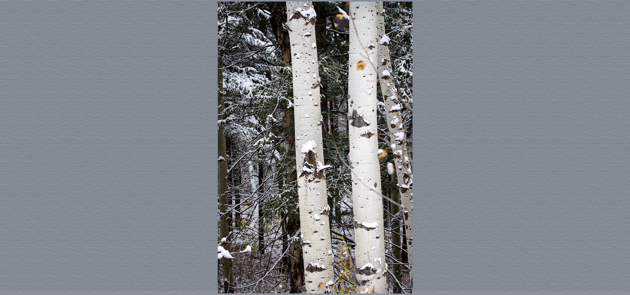 13-10 Jackson -377.jpg