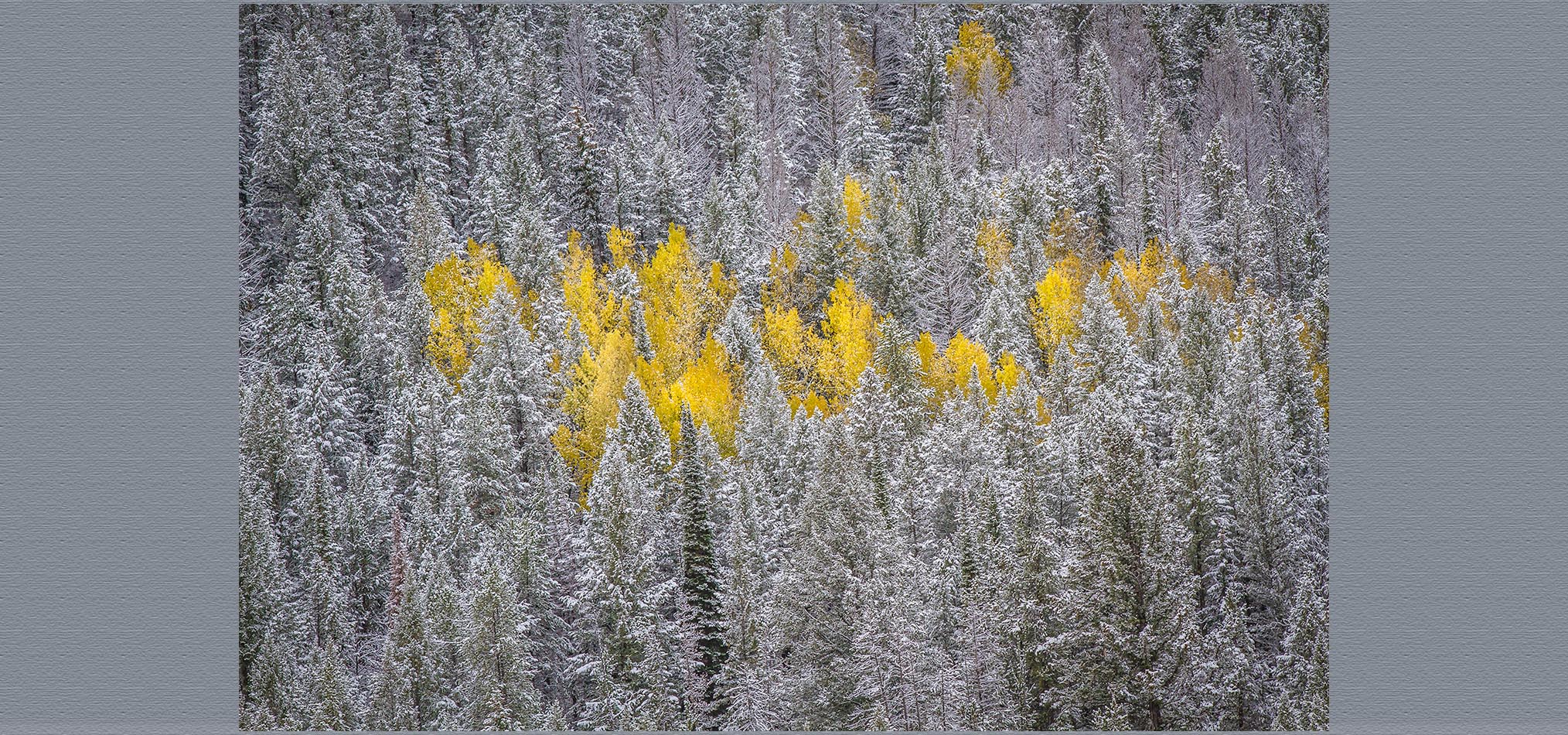 13-10 Jackson -380.jpg