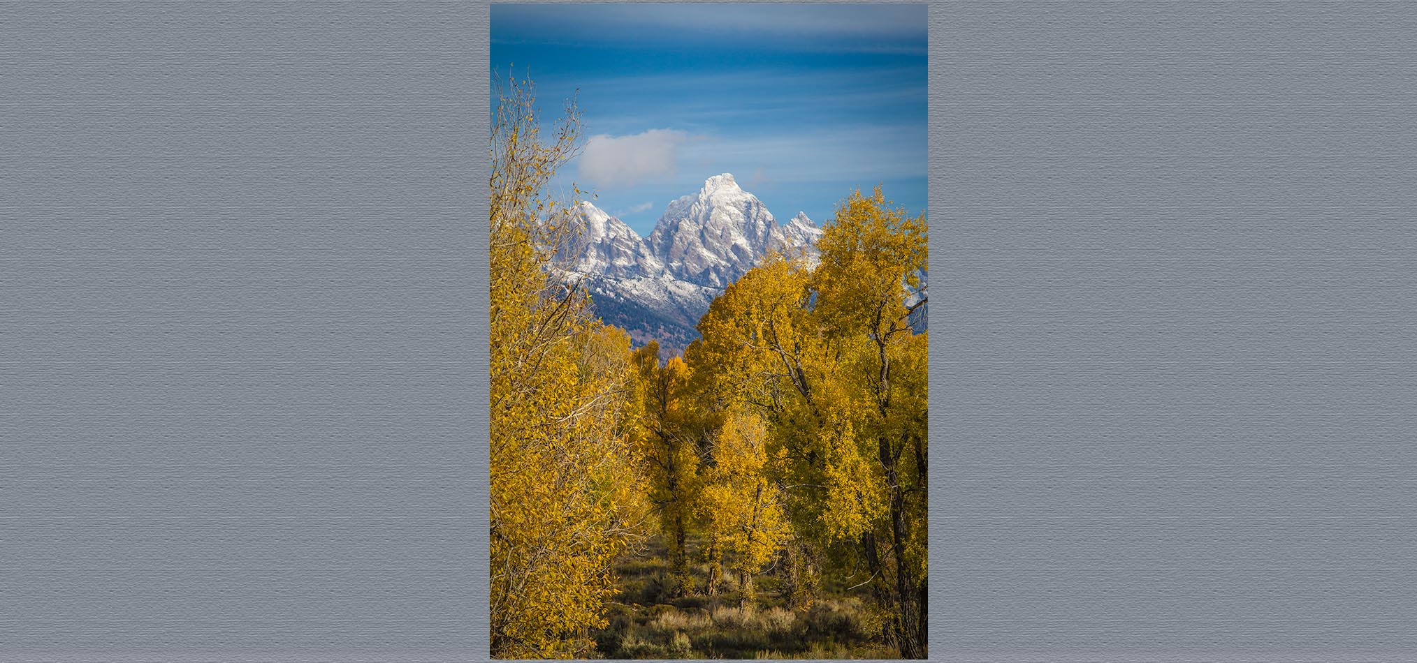 13-10 Jackson -56.jpg