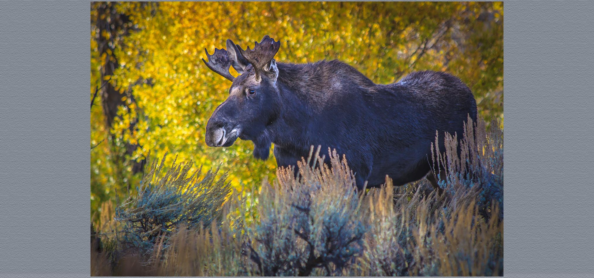 13-10 Jackson -574.jpg