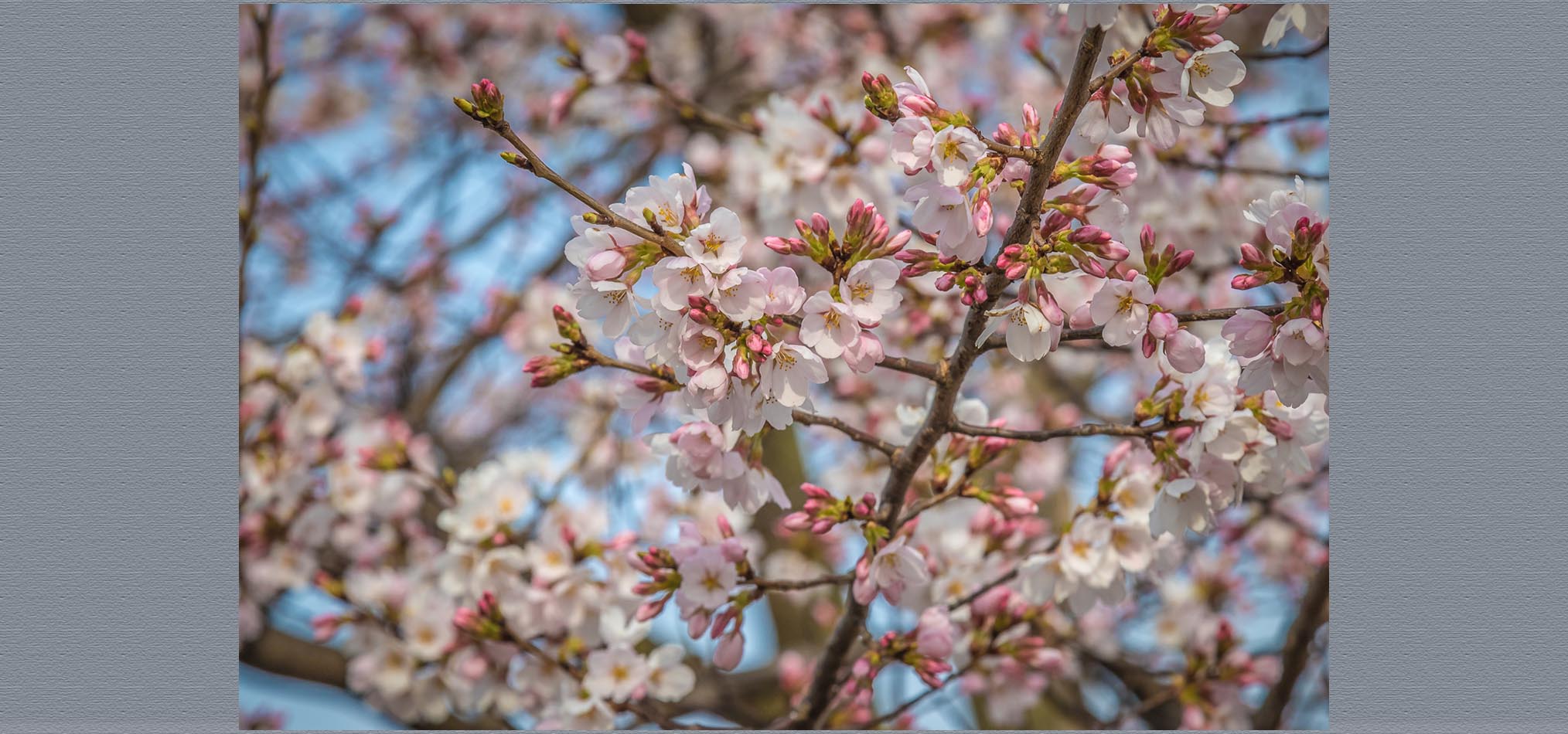 17-03 Washington DC-59.jpg