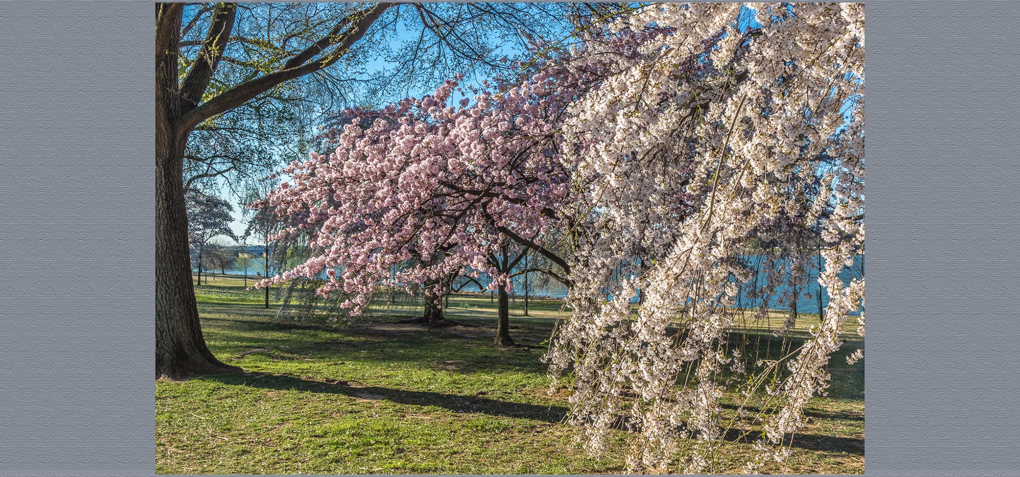 19-04 Washington DC-7.jpg